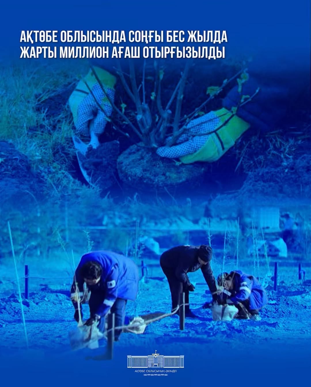 В Актюбинской области за пять лет высадили полмиллиона деревьев
