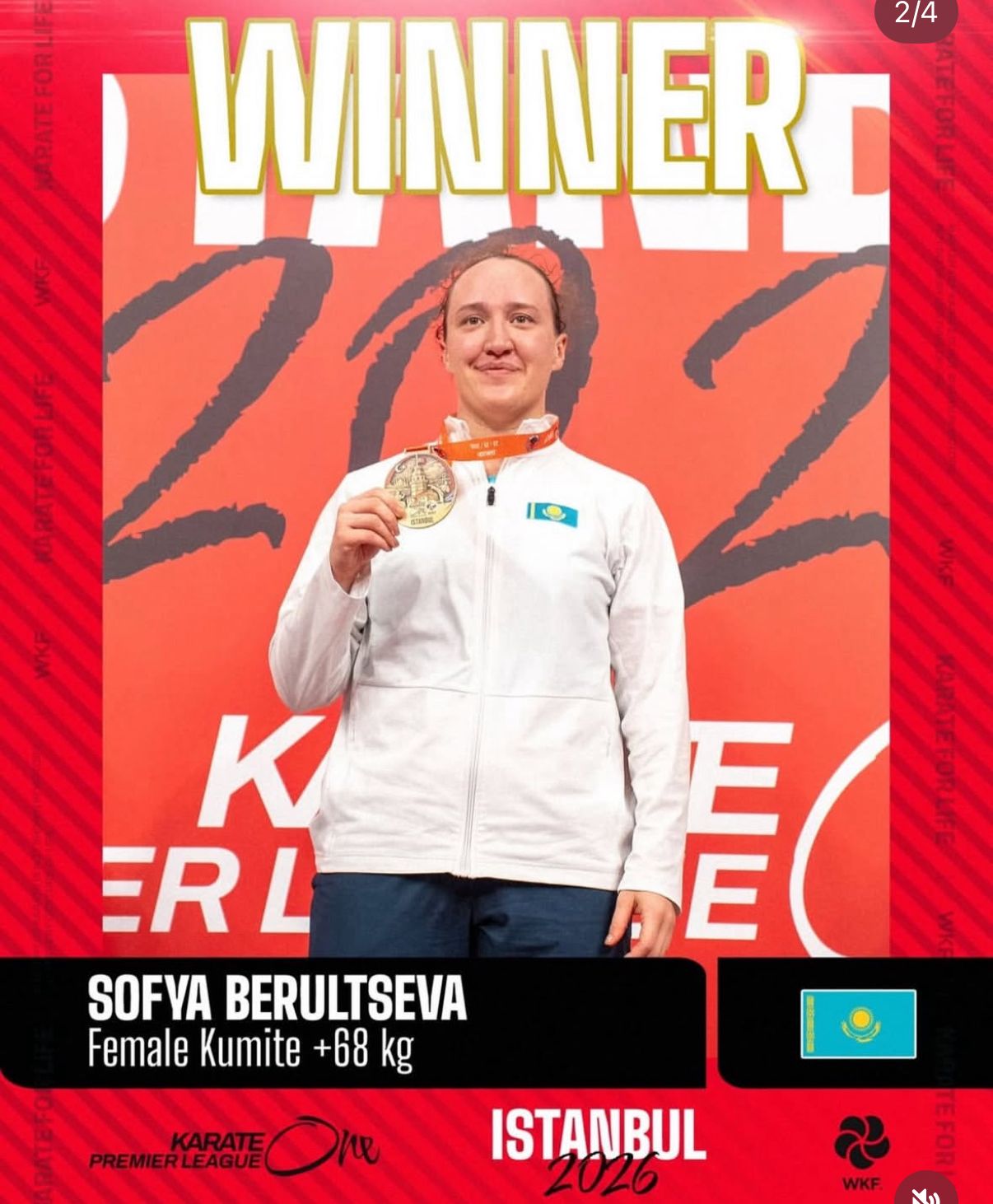 СОФА - ЧЕМПИОН!