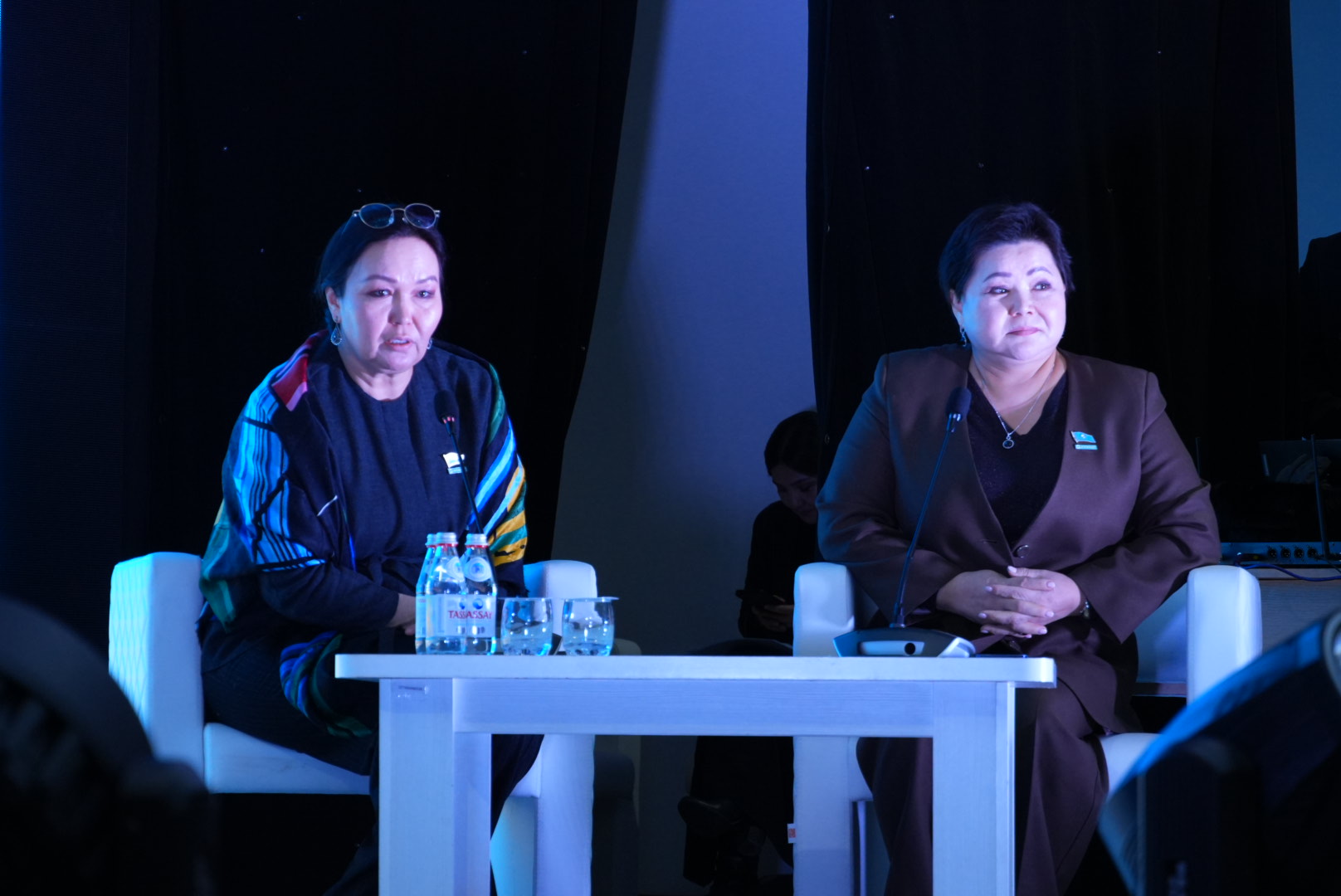 СОСТОЯЛАСЬ ВСТРЕЧА  ЛИДЕРОВ ЖЕНСКОГО КРЫЛА