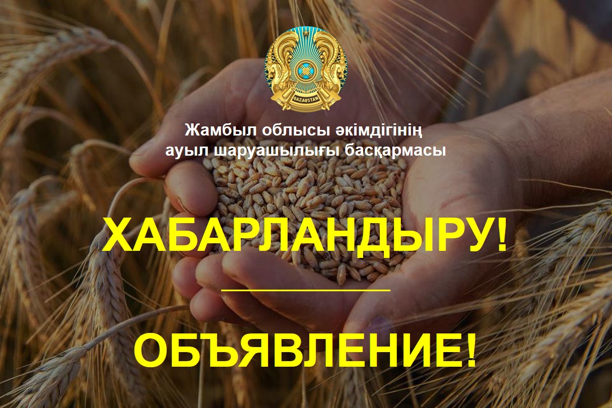 Объявление!