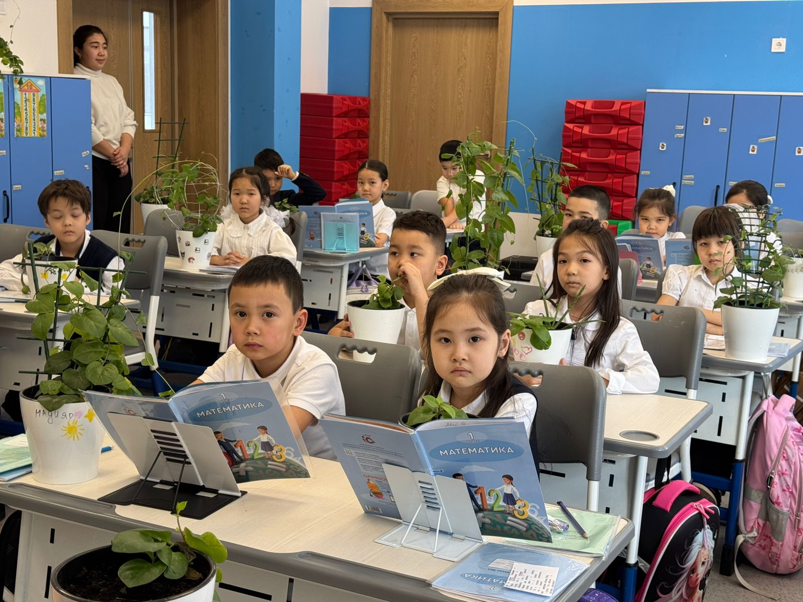 Экологический проект «От ростка к фито-классу» презентовали в столичной школе