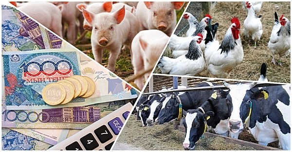 Субсидирование