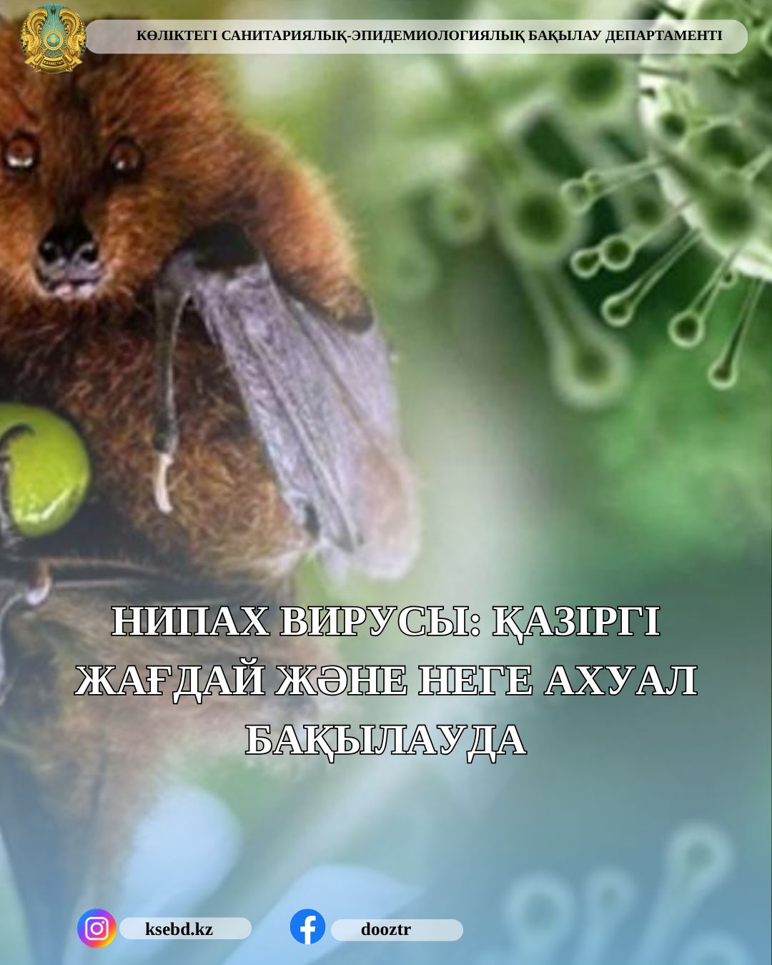 Нипах вирусы: қазіргі жағдай және неге ахуал бақылауда