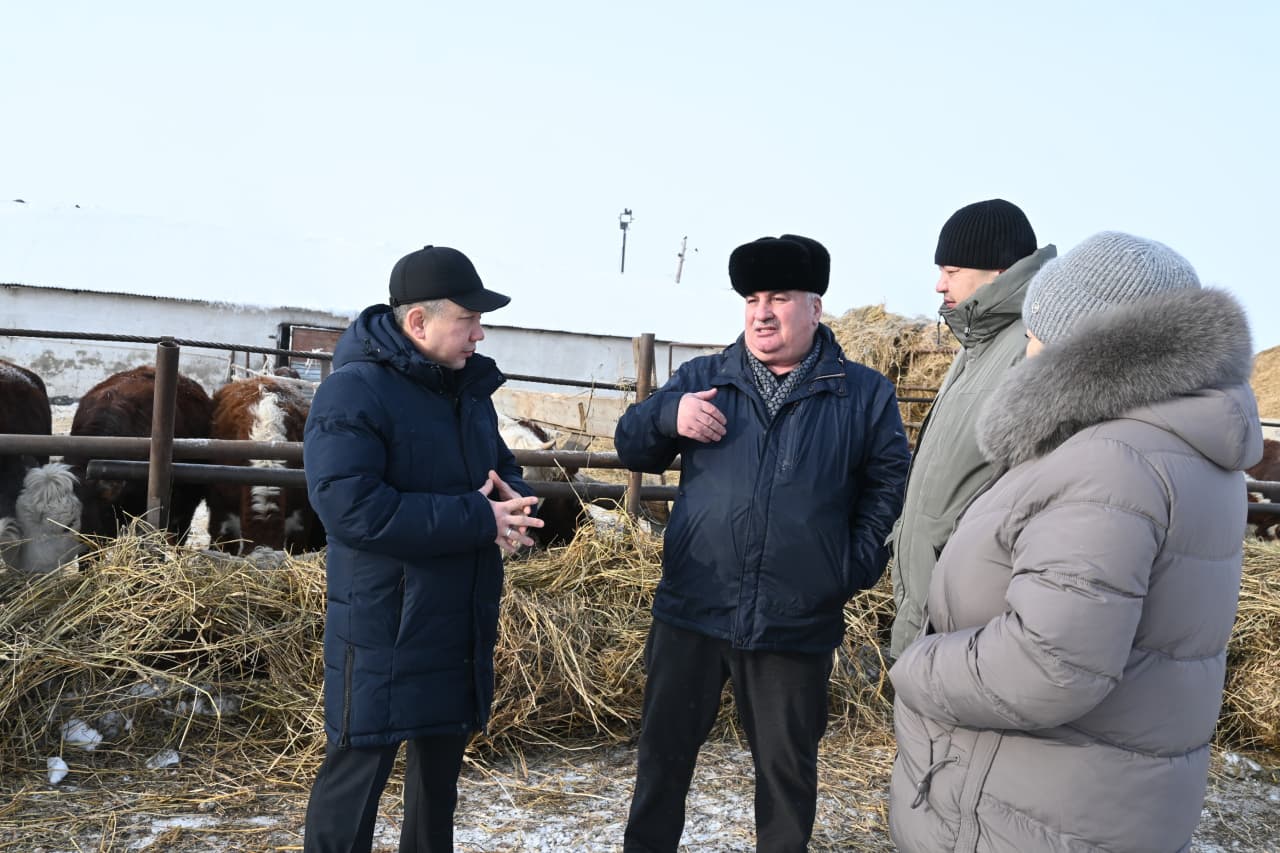 "Спасское-Агро" ЖШС-де өсімдік шаруашылығы мен мал шаруашылығын дамыту