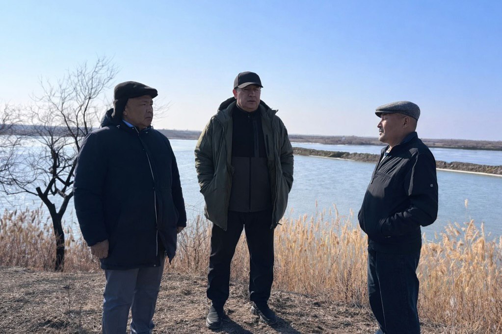 Полевое совещание: предложения фермеров села Бирлик и конкретные поручения акима