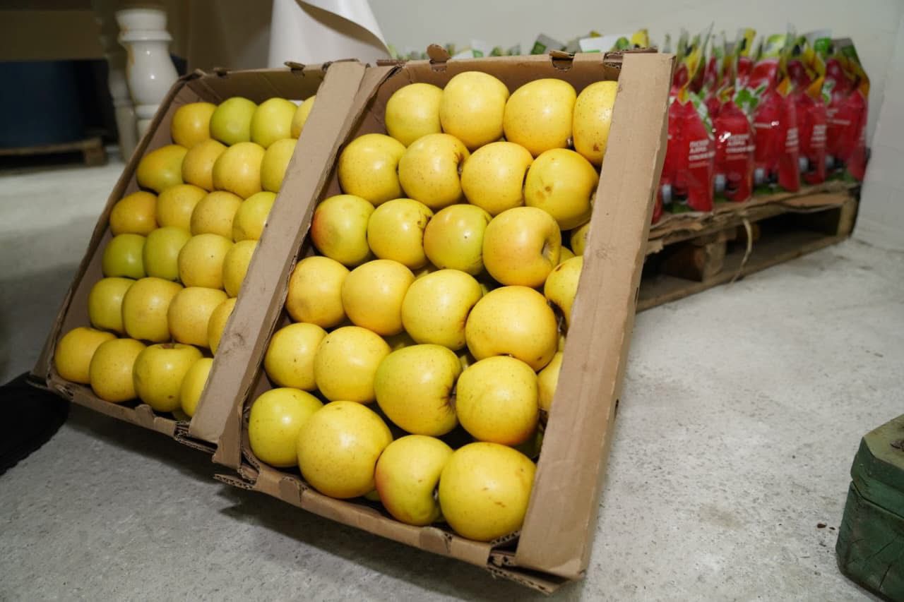 Түркістан облысында жеміс-жидектерді терең өңдейтін зауыт іске қосылды