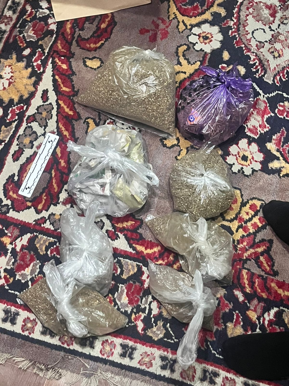 Ақмола облысында бес келіден астам марихуана тәркіленді