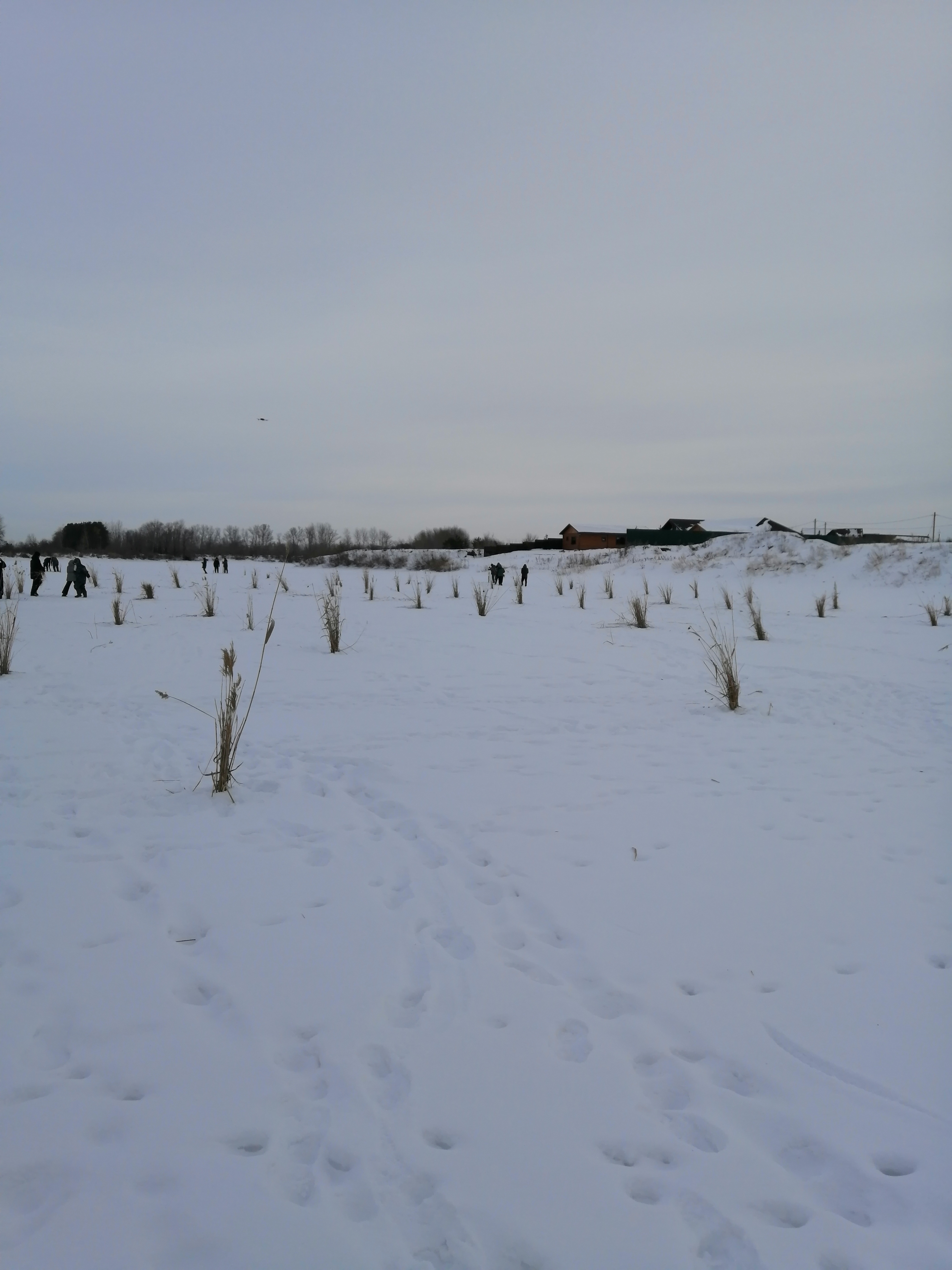 Қостанай облысында балықтың қырылып қалуына қарсы іс-шаралар басталды