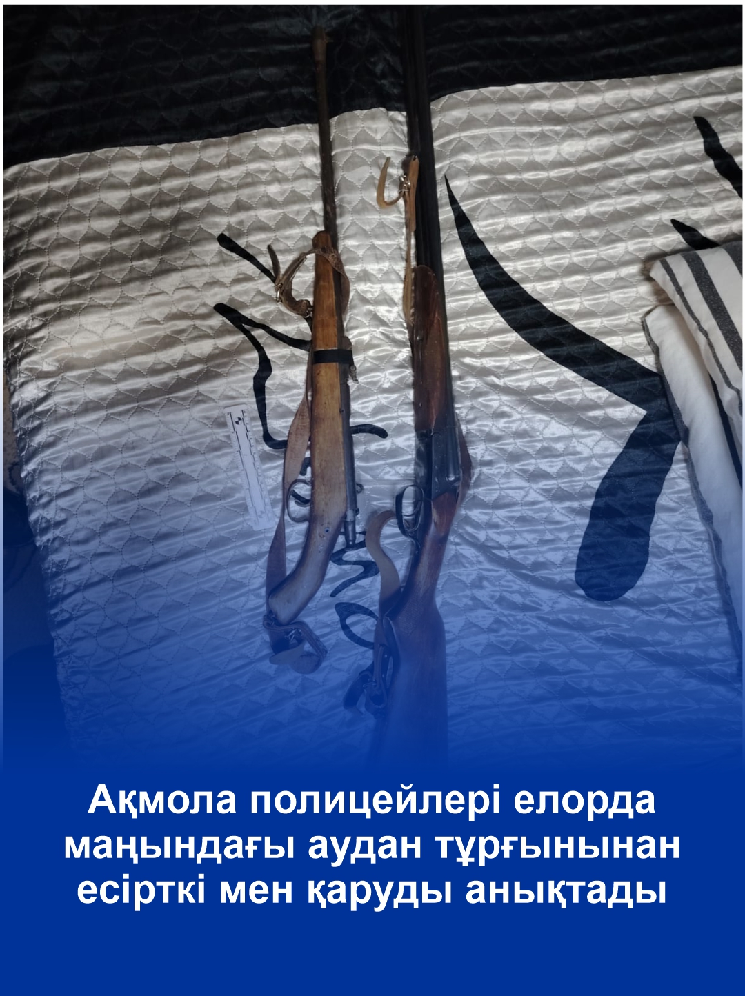 Ақмола полицейлері елорда маңындағы аудан тұрғынынан есірткі мен қаруды анықтады