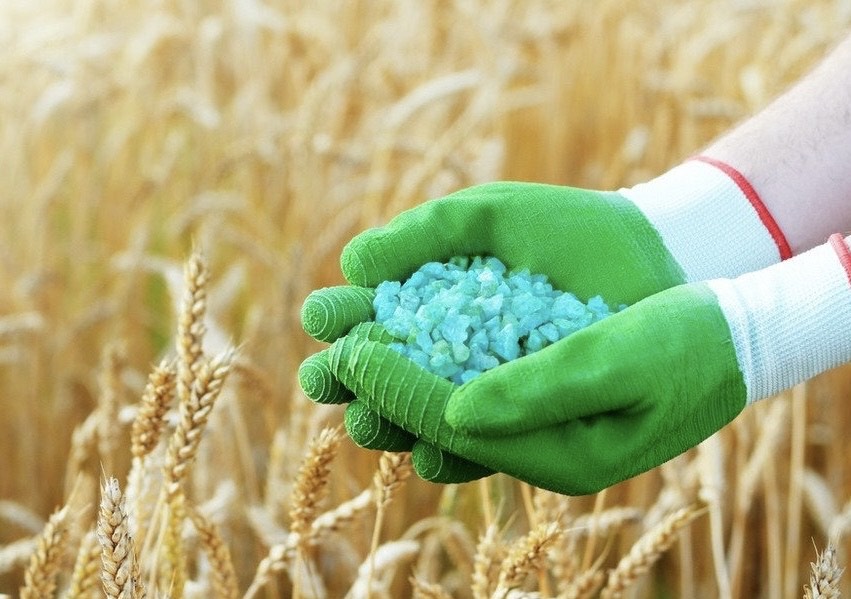 «Солтүстік&nbsp;Қазақстан&nbsp;облысы&nbsp;әкімдігінің&nbsp;ауылшаруашылығы&nbsp;және&nbsp;жер&nbsp;қатынастары&nbsp;басқармасы»КММ&nbsp;қолданыстағы&nbsp;тыңайтқыштар&nbsp;құнынсубсидиялау&nbsp;қағидаларына&nbsp;сәйкес&nbsp;2026&nbsp;жылғы&nbsp;1&nbsp;ақпаннан&nbsp;бастап&nbsp;отандық&nbsp;тыңайтқышөндірушілерінен&nbsp;тыңайтқыштарды&nbsp;аванстықсубсидиялау&nbsp;тетігі&nbsp;аясында&nbsp;төмендетілген&nbsp;бағаменсатып&nbsp;алу&nbsp;кезінде&nbsp;ауыспалы&nbsp;өтінімдерді&nbsp;қабылдаубасталатынын&nbsp;хабарлайды