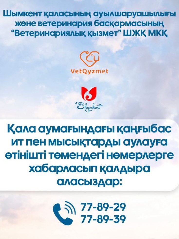 Шымкент қаласының ауыл шаруашылығы және ветеринария басқармасына қарасты «Ветеринариялық қызмет» ШЖҚ МКК қала аумағындағы қаңғыбас ит пен мысықтарды аулауға қатысты тұрғындардан өтініш қабылдайды.