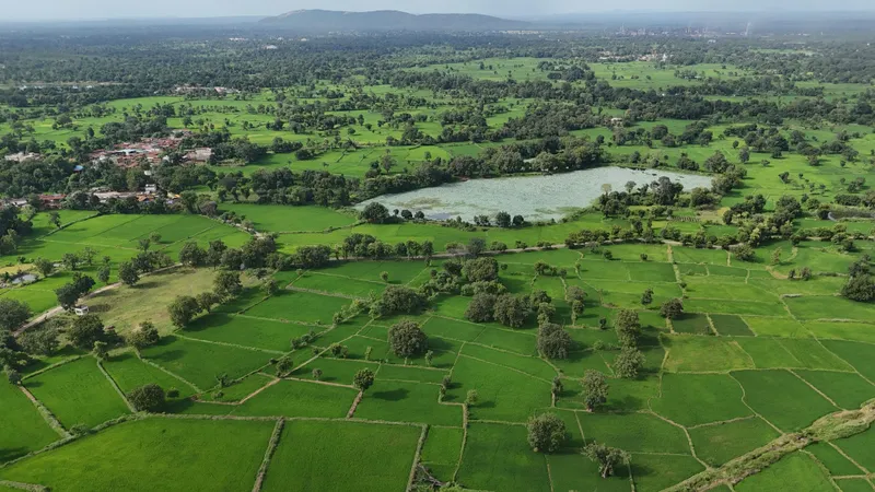 Қазақстанда Жер учаскелерімен электрондық сауда-саттықты өткізу ережелері өзгерді