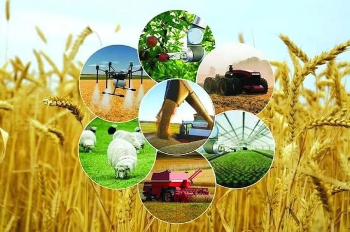 Развитие агропромышленного комплекса Шымкента: итоги 2025 года