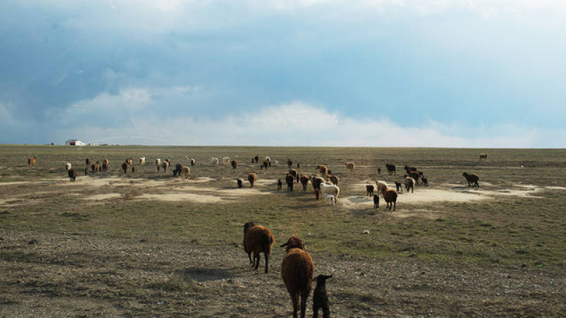Бейнеу ауданында Қаратүлей орман қорында рейдтік іс-шаралар өткізілді