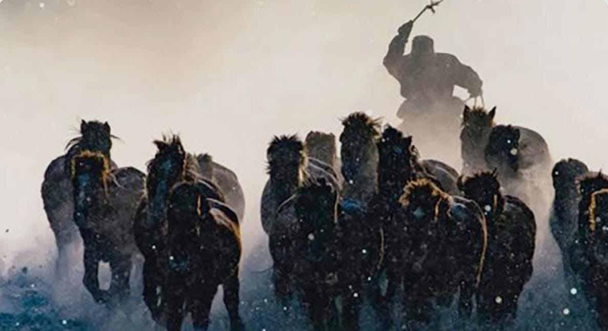 Ночная кража: в Жамбылской области полиция с помощью GPS оперативно обнаружила 11 похищенных лошадей