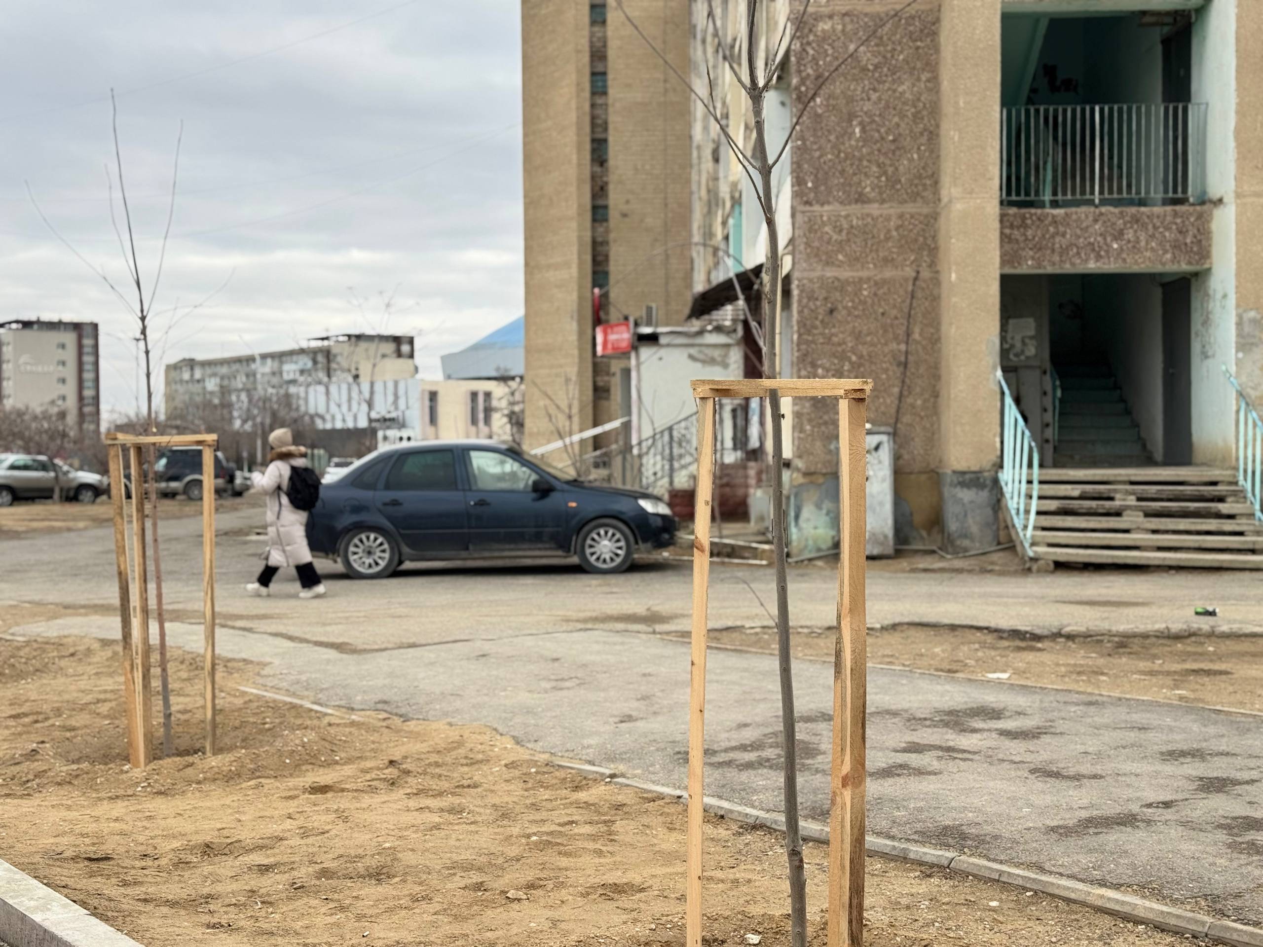 «Сказано — сделано»: в 4 микрорайоне высажено более 10 деревьев