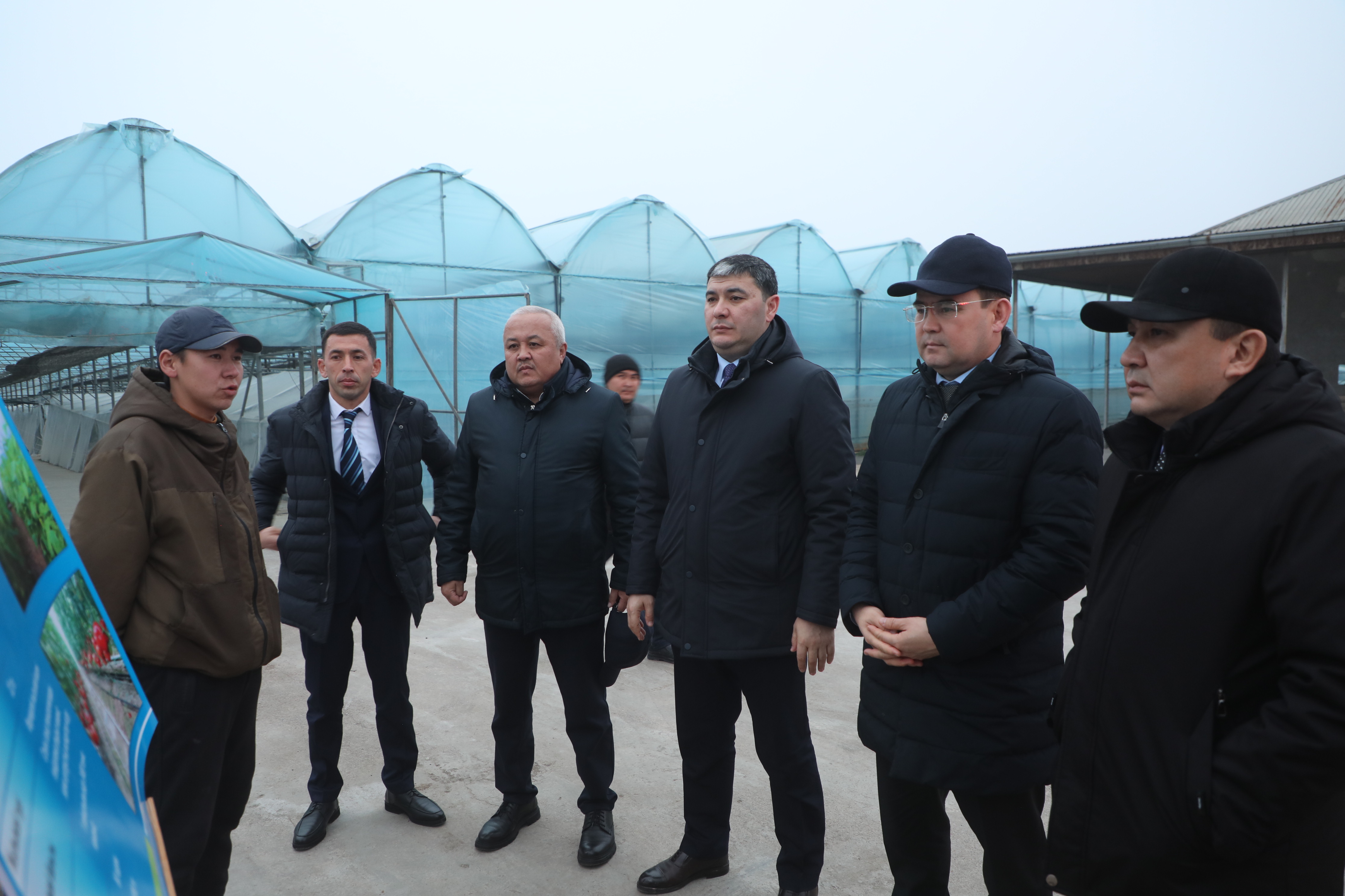 САРЫАГАШ: СЕНАТОРЫ ОЗНАКОМИЛИСЬ С РАБОТОЙ ТЕПЛИЧНОГО ХОЗЯЙСТВА ПО ВЫРАЩИВАНИЮ ЛИМОНОВ