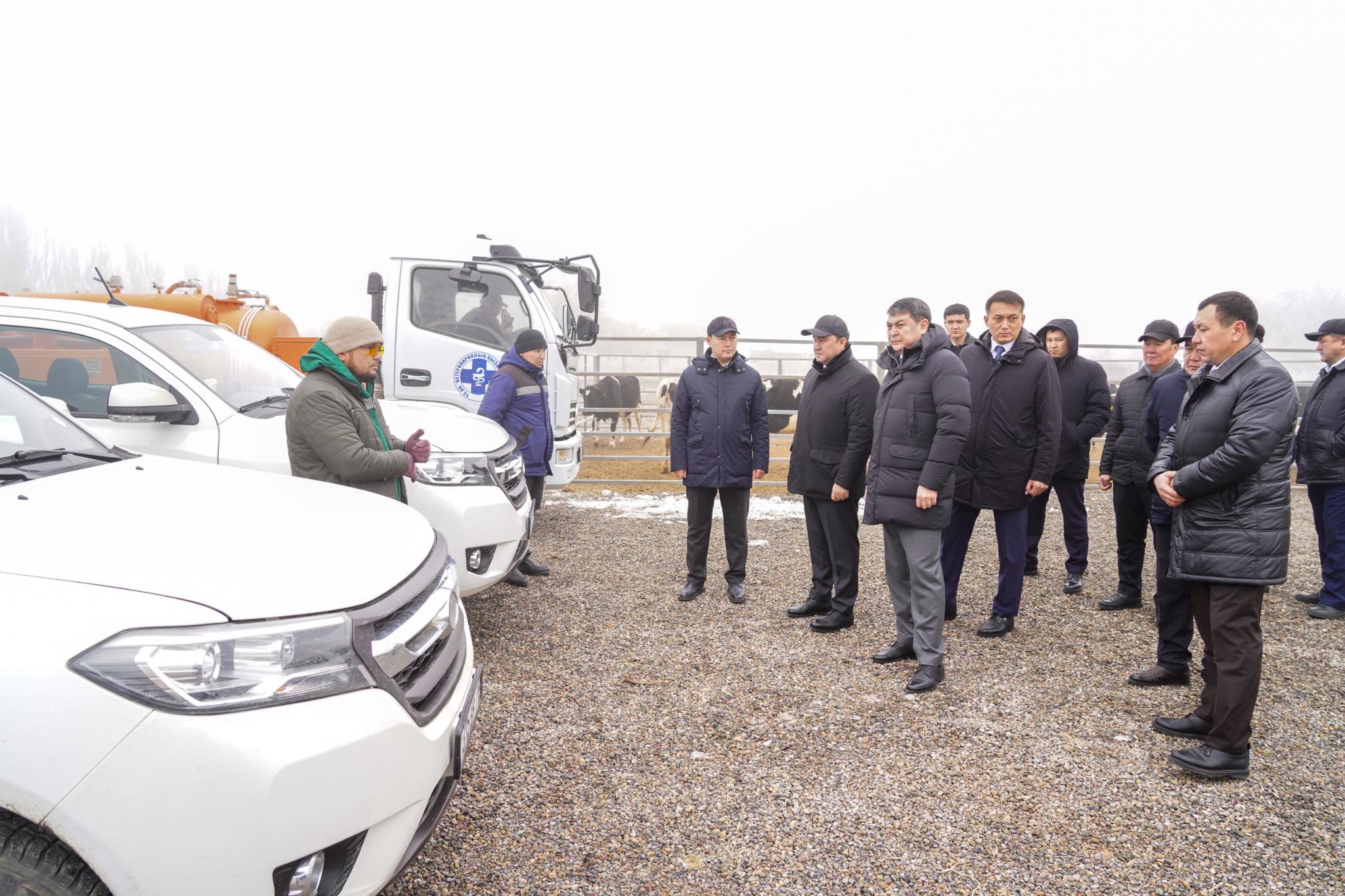 В ТУРКЕСТАНСКОЙ ОБЛАСТИ ЦИФРОВИЗИРУЮТ ВЕТЕРИНАРИЮ ЧЕРЕЗ ЧИПИРОВАНИЕ ЖИВОТНЫХ