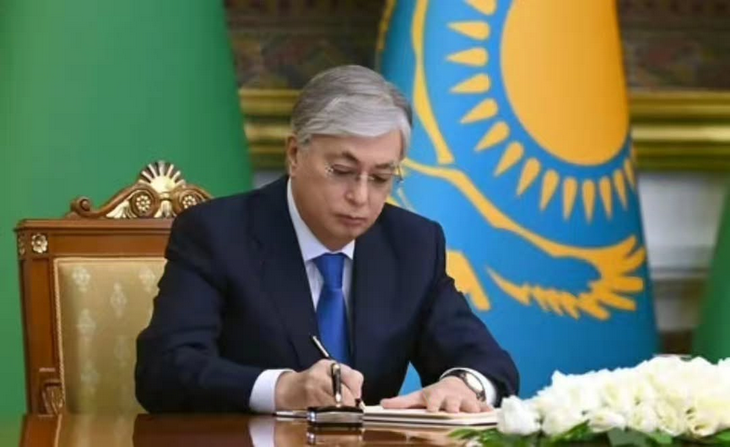 Зияткерлік меншікті жетілдіру: жеделдетілген тіркеуден цифрлық платформаға дейін