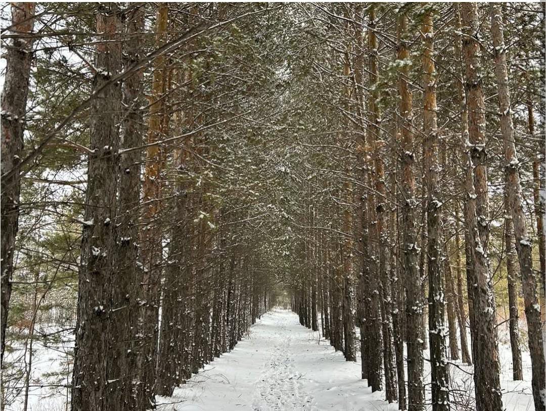 Сохранение и защита зелёного фонда — наша общая ответственность. Берегите природу!