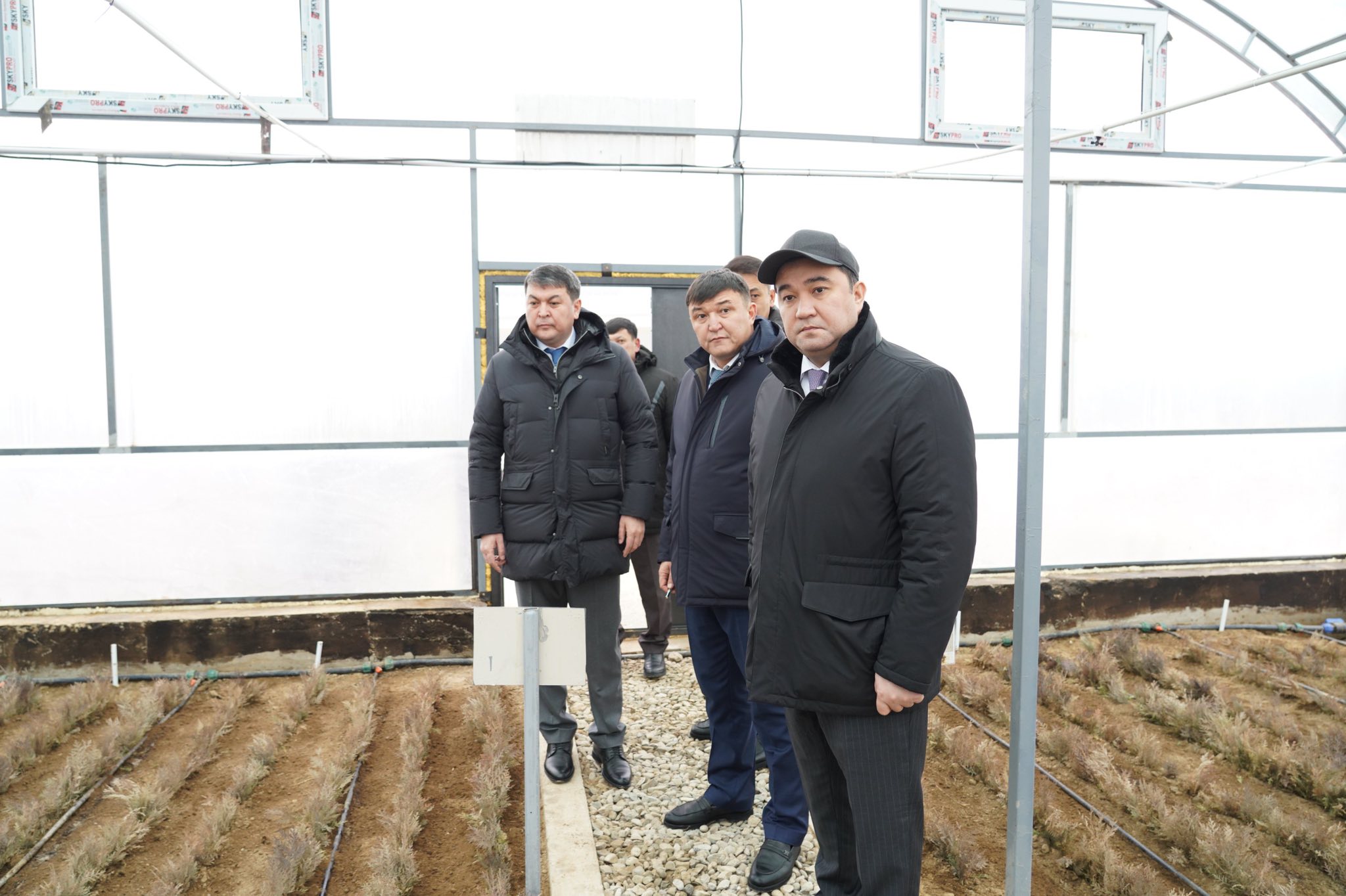 В ТУРКЕСТАНСКОЙ ОБЛАСТИ НА ТЕРРИТОРИИ 10 ГЕКТАРОВ СТРОИТСЯ СОВРЕМЕННЫЙ ПИТОМНИК