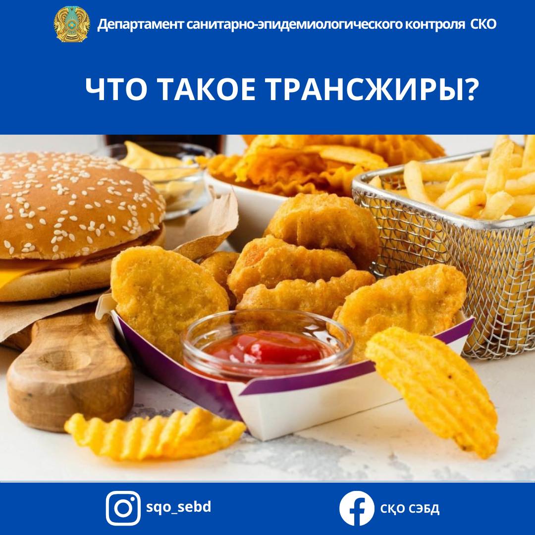 📌Что такое трансжиры?