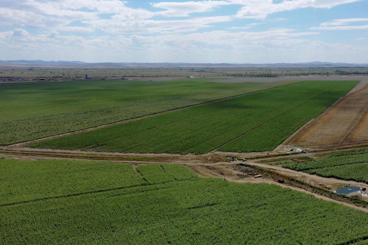 Облыстағы агроөнеркәсіп кешенін қолдау және әлеуметтік маңызы бар азық-түлік тауарларының бағасын тұрақтандыру мәселесі талқыланды