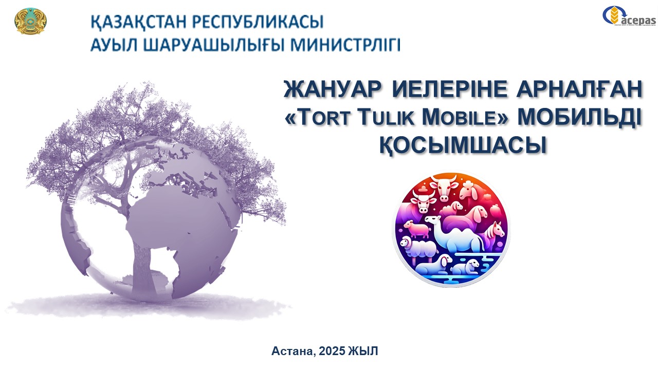 «Tort Tulik» қосымша