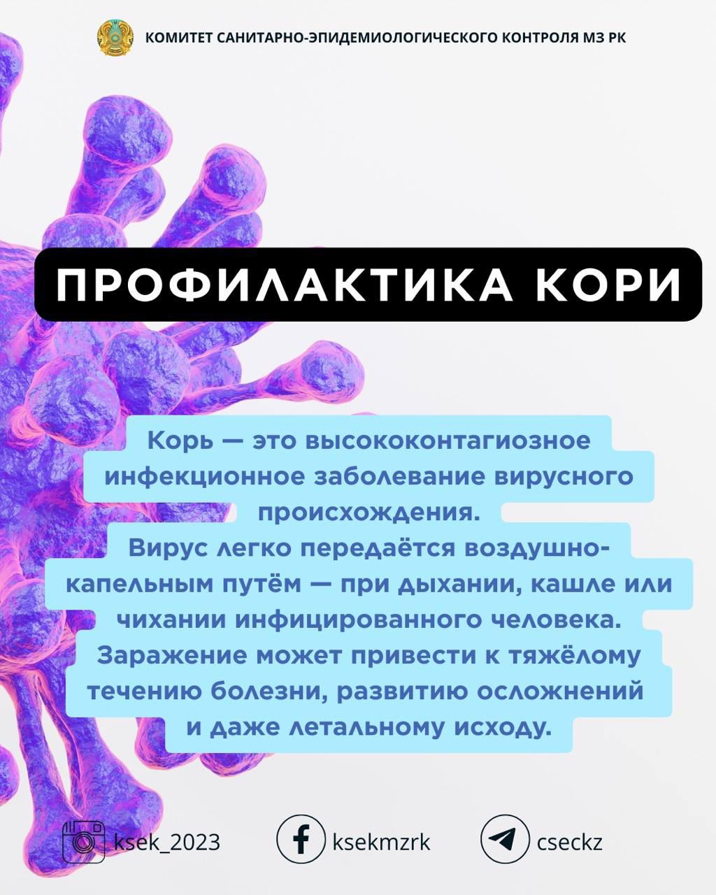 Профилактика кори