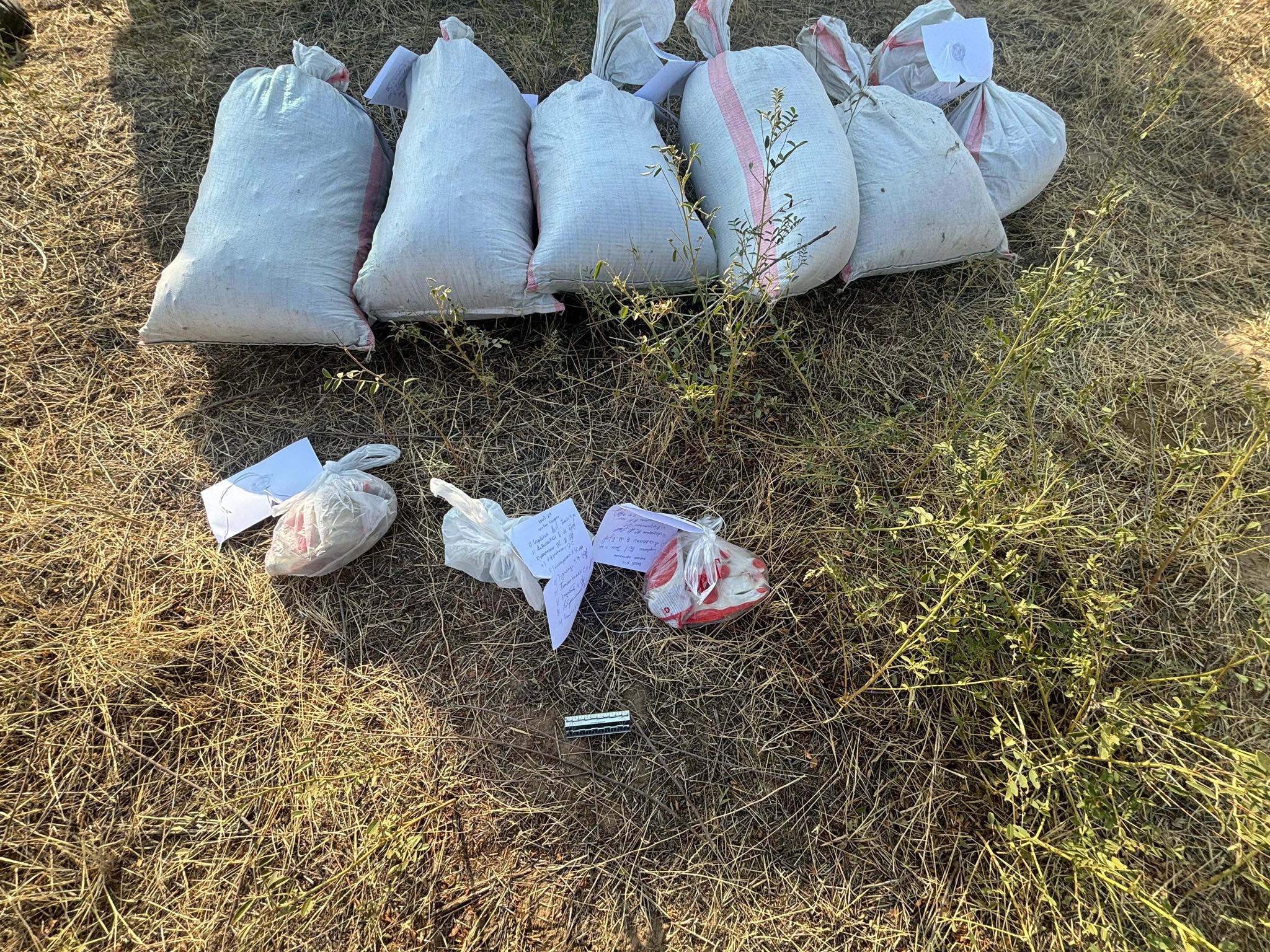 Транспортными полицейскими изъята крупная партия марихуаны в Жамбылской области