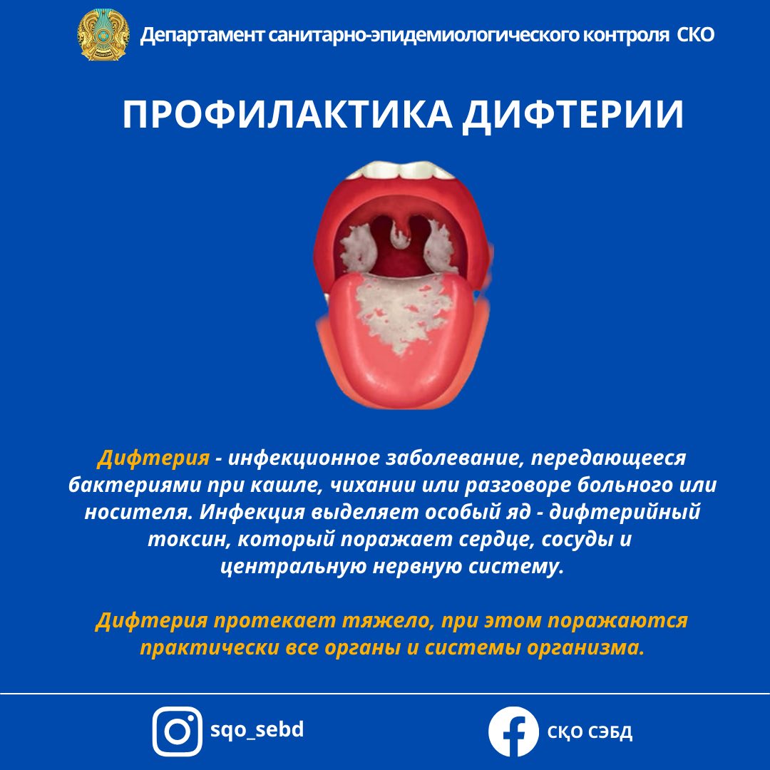 📌 Профилактика дифтерии