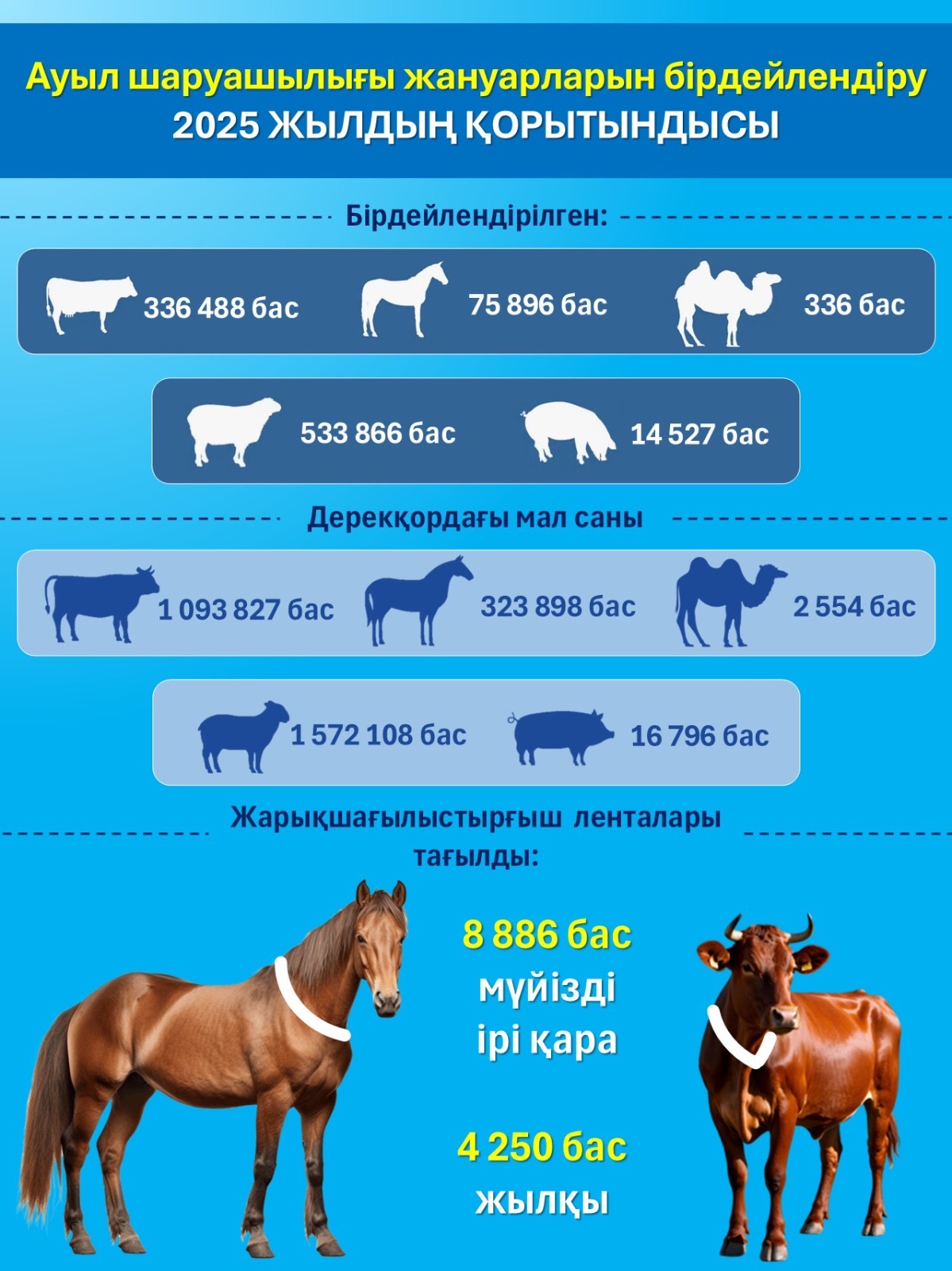 ИТОГИ 2025 ГОДА: ИДЕНТИФИКАЦИЯ СЕЛЬСКОХОЗЯЙСТВЕННЫХ ЖИВОТНЫХ