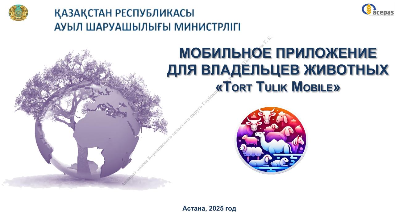 Приложение «Tort Tulik»