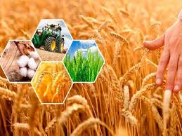 Жетісу облысында «Ауыл аманаты» мемлекеттік бағдарламасы аясында микрокредит алуға өтінімдер қабылдау 2026 жылдың 12 қаңтарынан қайта басталды.