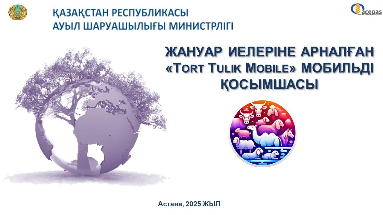 «Tort Tulik» қосымша