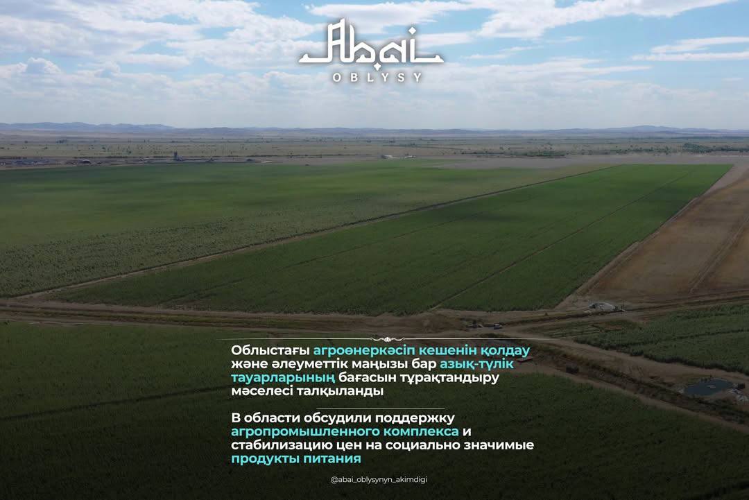 Облыстағы агроөнеркәсіп кешенін қолдау және әлеуметтік маңызы бар азық-түлік тауарларының бағасын тұрақтандыру мәселесі талқыланды