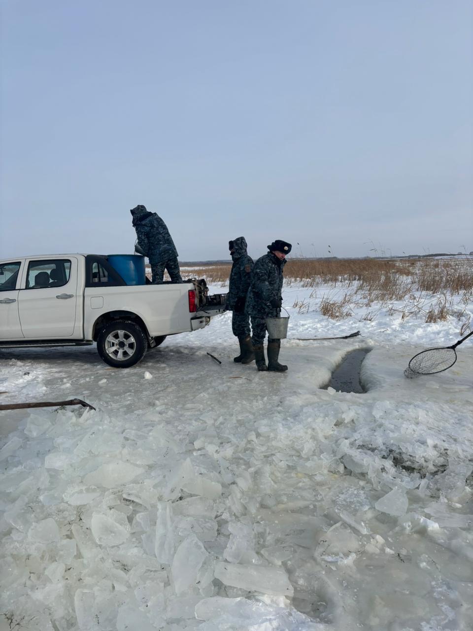 В Северо-Казахстанской области проводятся мероприятия по аэрации озёр с целью предотвращения замора рыбы