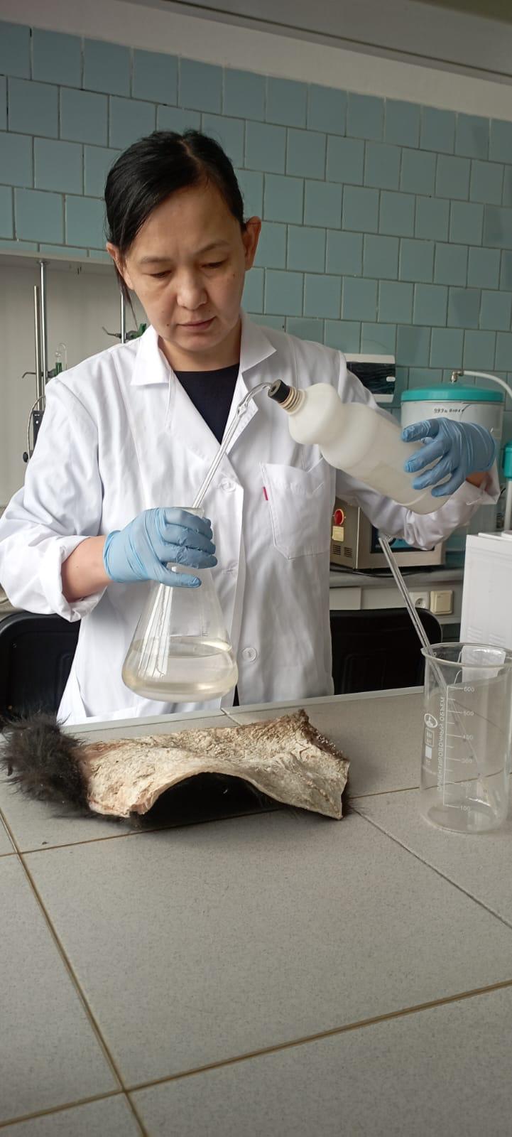 Ученые разрабатывают инновационную технологию сохранения шкур КРС