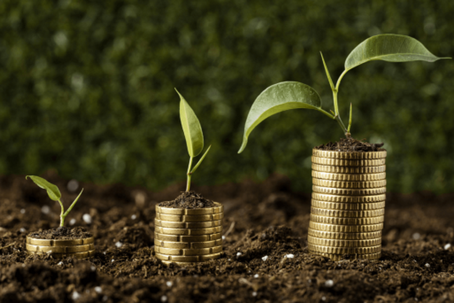 «Органикалық өнімдер. «Greenwashing» дегеніміз не».