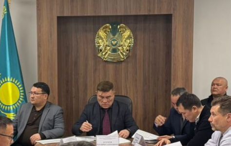 Тәуекел факторларын ескере отырып техникалық куәландырудың баламалы әдісін қолдану мәселелері техникалық кеңес өткізілді
