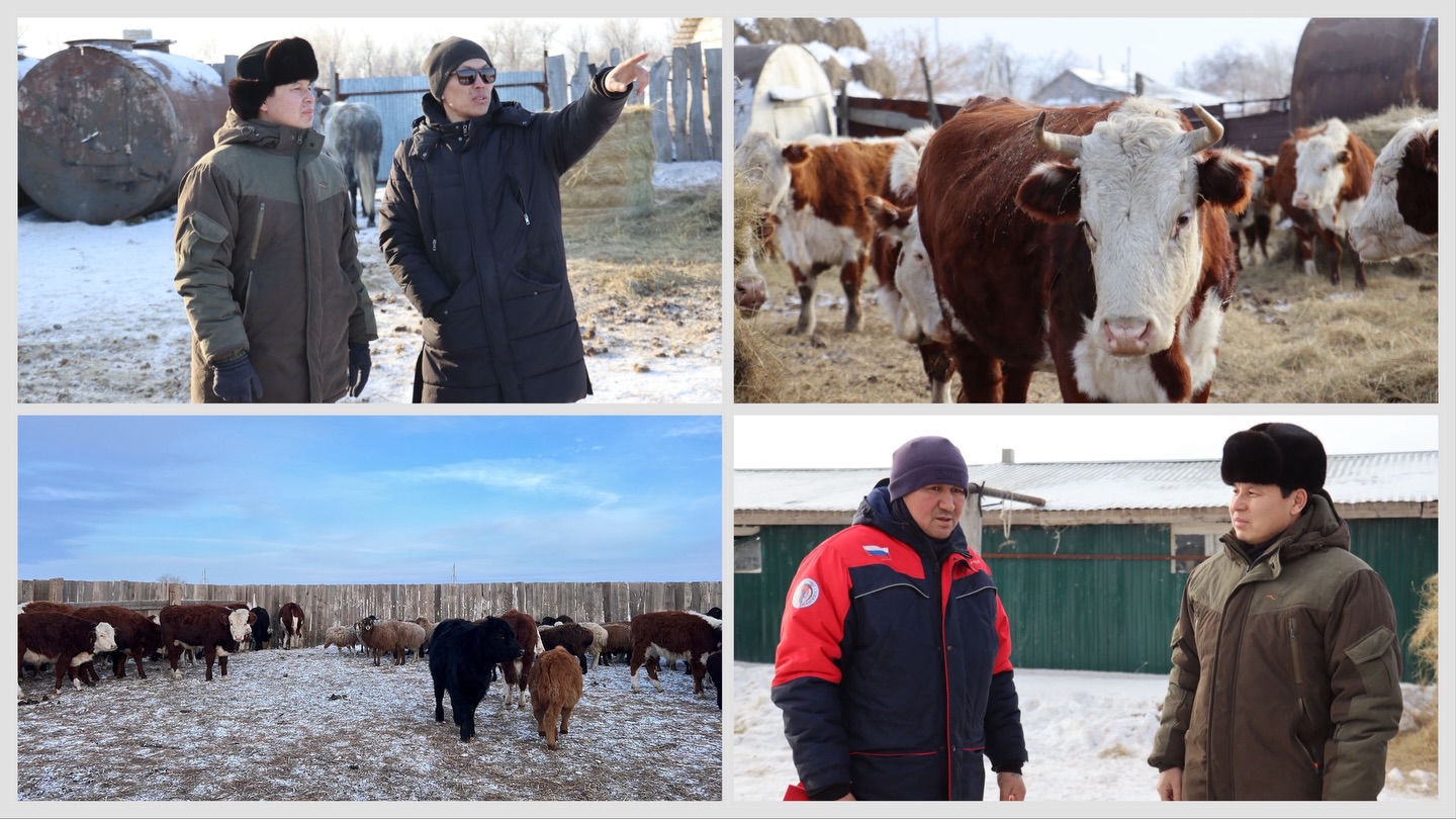 АУЫЛ ШАРУАШЫЛЫҒЫ НЫСАНДАРЫН АРАЛАДЫ