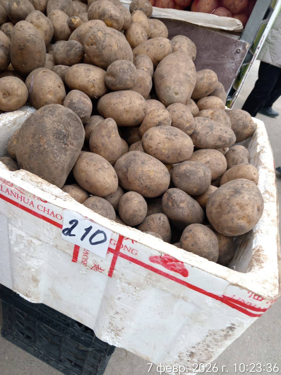 Ақтаудағы жәрмеңкеде тұрақтандыру қорынан 2 тонна картоп шығарылды