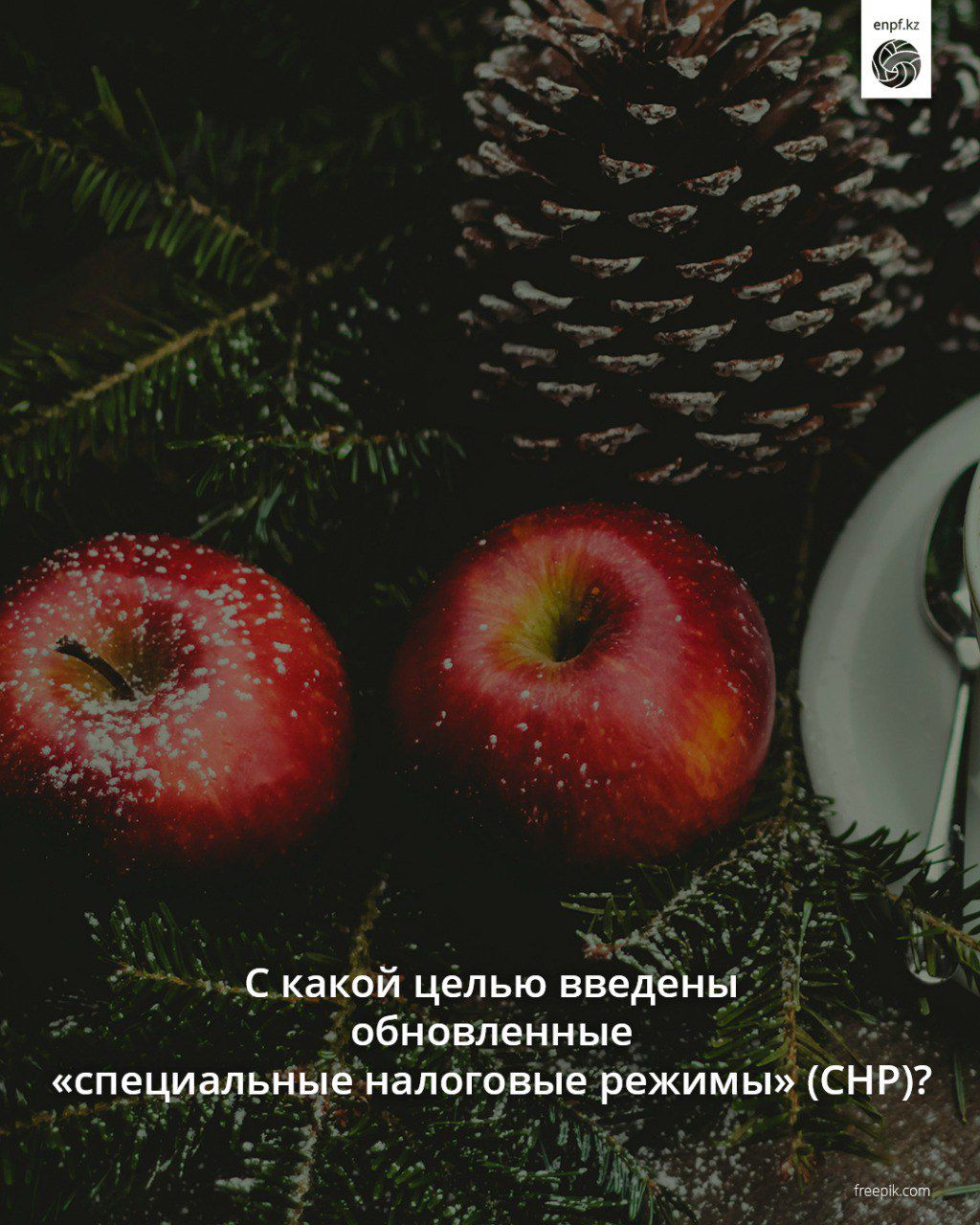 Жаңартылған арнаулы салық режимдері (АСР) қандай мақсатпен енгізілді?