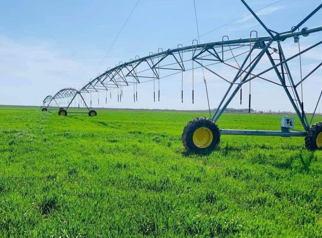 ТҮРКІСТАН: ЕГІСТІК АЛҚАПТАРЫНА СУ ҮНЕМДЕУ ТЕХНОЛОГИЯЛАРЫН ЕНДІРУ ЖҰМЫСТАРЫ БАҚЫЛАУДА