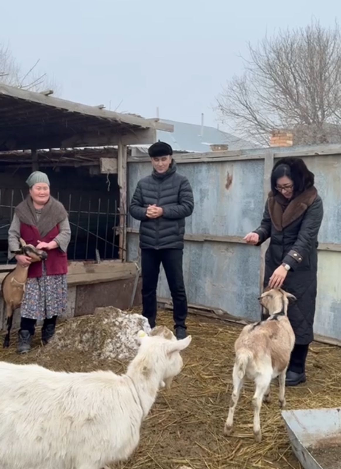 АУЫЛ АМАНАТЫ” – АУЫЛ КӘСІПКЕРЛІГІНІҢ  ДАМУЫНА СЕРПІН