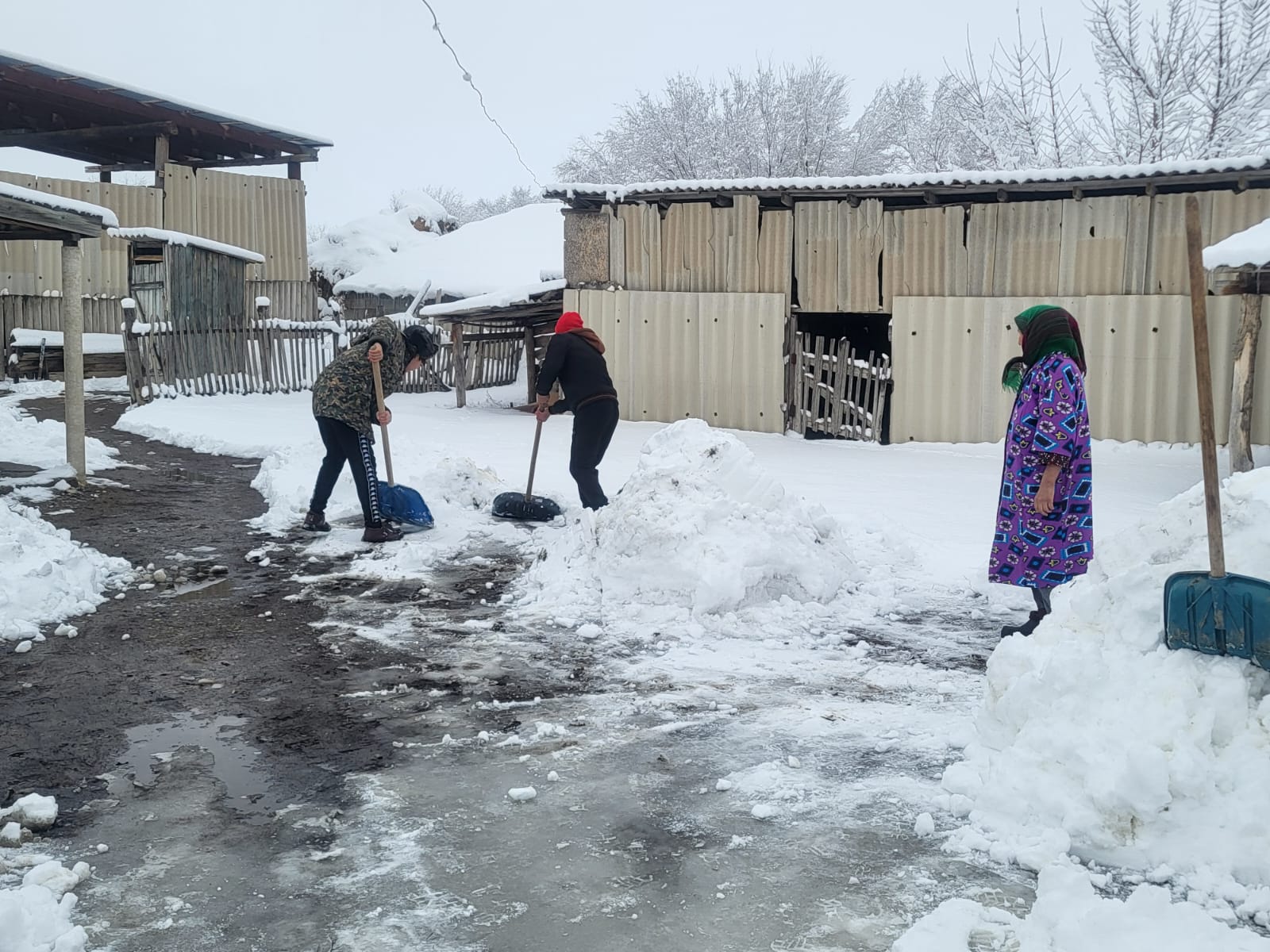 Қарттар мен мүмкіндігі шектеулі жандарға көмек көрсету жұмыстары ұйымдастырылды