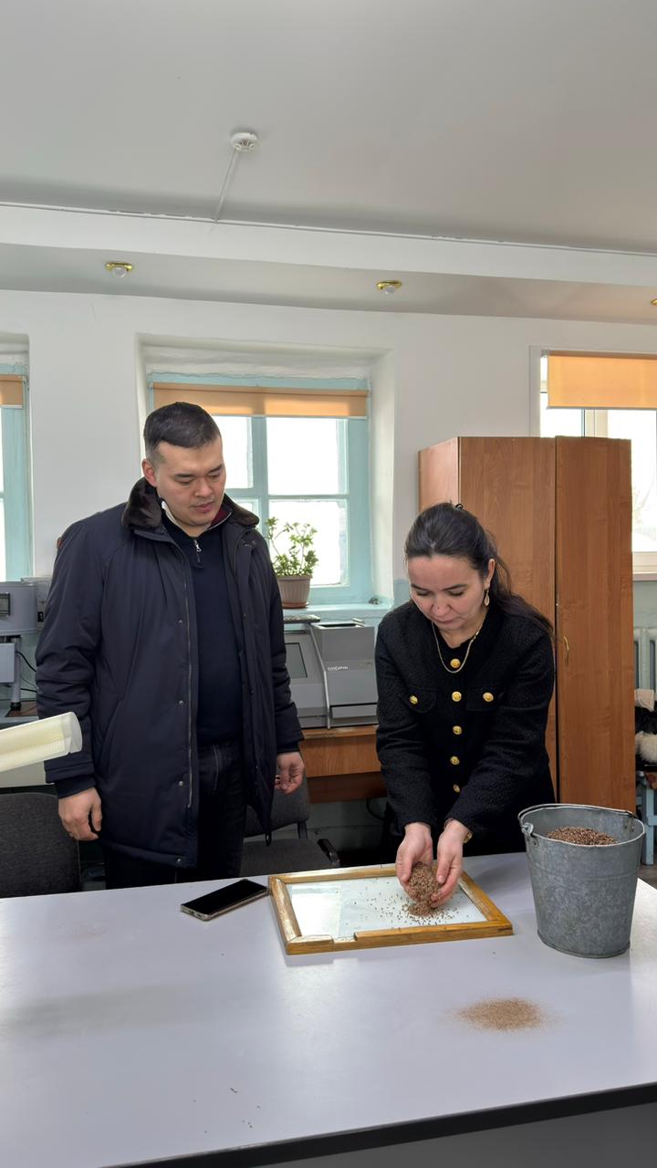 Астық пен майлы дақылдарды экспортқа тиеу қарқыны тексерілді