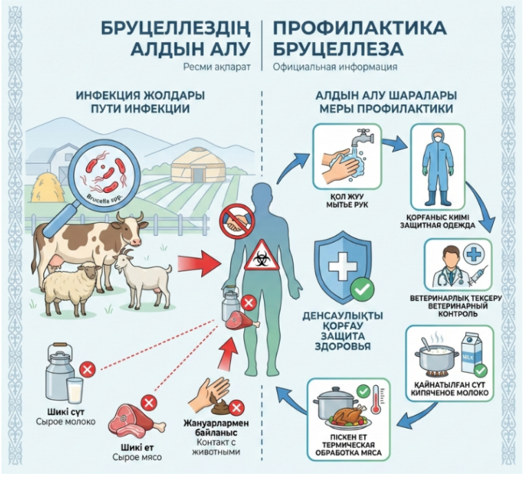 Бруцеллёз — адам мен жануарларға ортақ, қауіпті жұқпалы ауру
