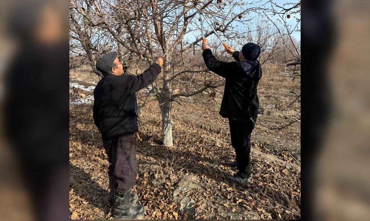 Еңбек адамы: математика пәнінің мұғалімі отбасылық бағын дамытуда