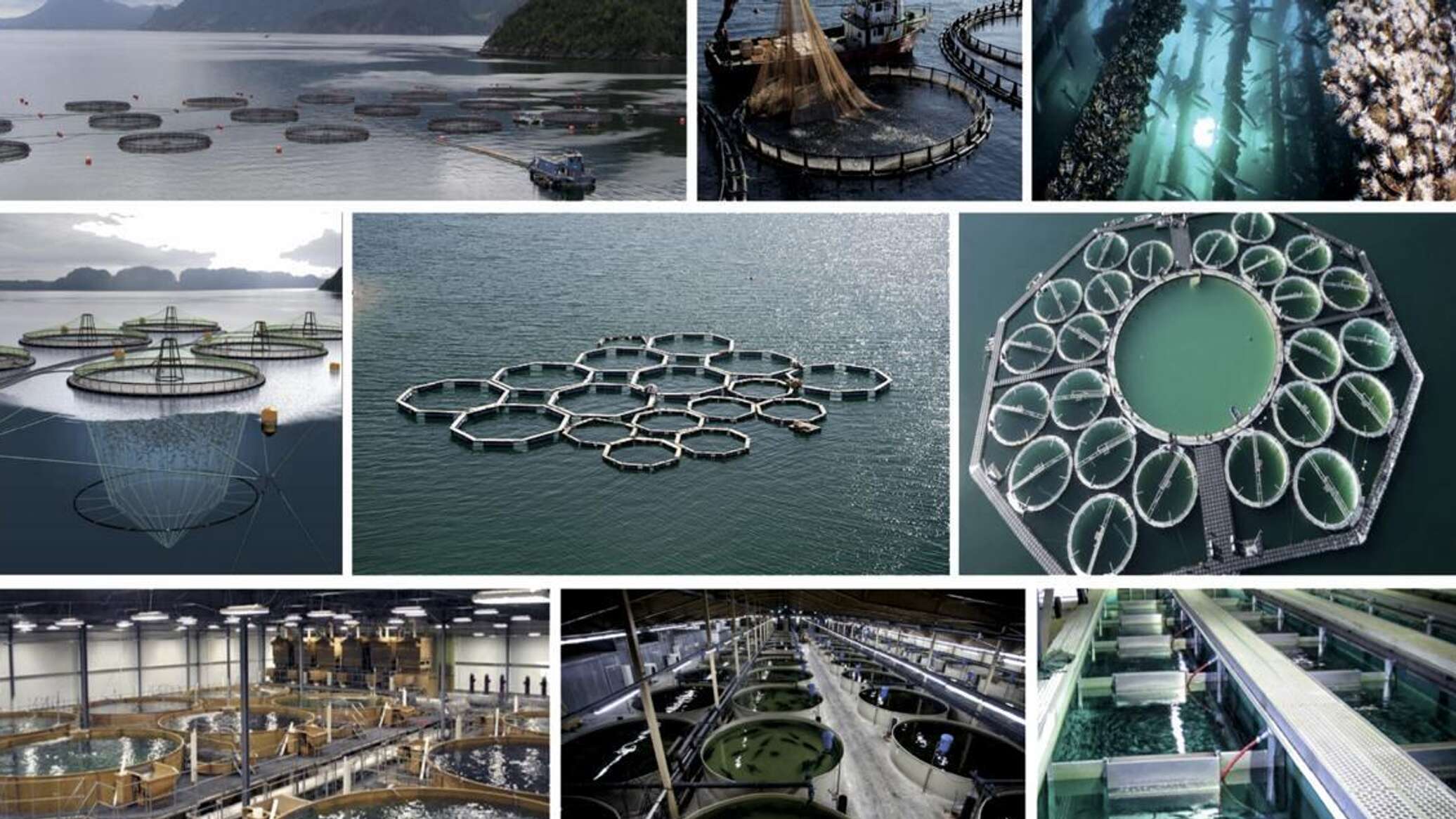 Объявление